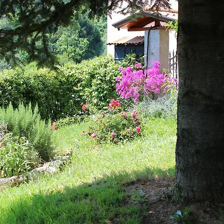 Gli Olivi Apartment *