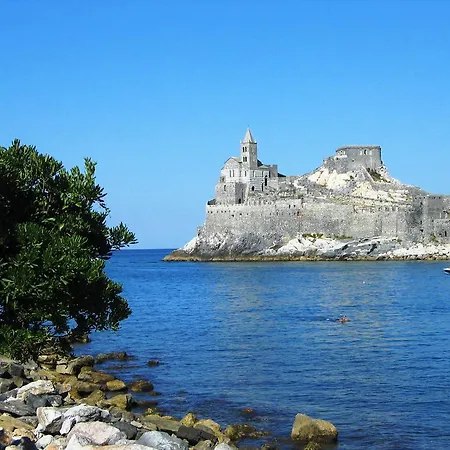 Gli Olivi