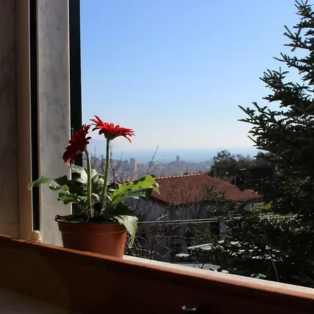 Gli Olivi Apartment