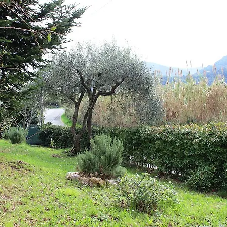 Gli Olivi *