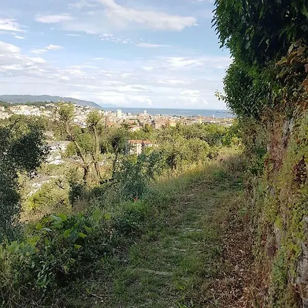 Apartament Gli Olivi
